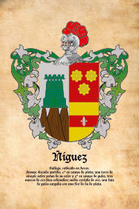 Escudo heráldico del apellido ÑIGUEZ