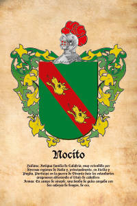 Escudo heráldico del apellido NOCITO
