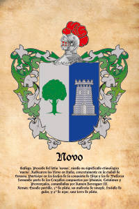 Escudo heráldico del apellido NOVO