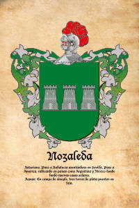 Escudo heráldico del apellido NOZALEDA