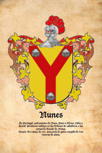 Escudo heráldico del apellido NUNES