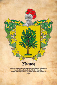 Escudo heráldico del apellido NUNEZ