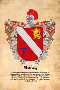 Escudo heráldico del apellido NUÑEZ