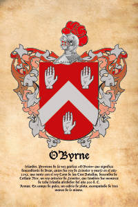 Escudo heráldico del apellido O'Byrne