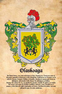 Escudo heráldico del apellido OLASKOAGA