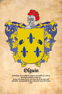 Escudo heráldico del apellido OLGUIN
