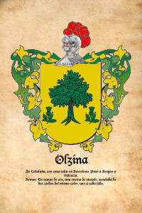 Escudo heráldico del apellido OLZINA
