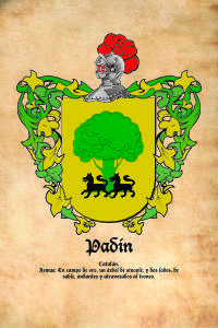 Escudo heráldico del apellido PADIN