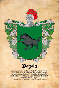 Escudo heráldico del apellido PAGOLA