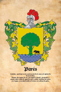 Escudo heráldico del apellido PARES