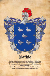 Escudo heráldico del apellido PATIÑO