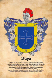 Escudo heráldico del apellido PAYA