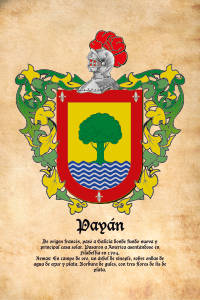 Escudo heráldico del apellido PAYAN
