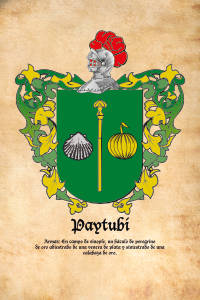 Escudo heráldico del apellido PAYTUBI