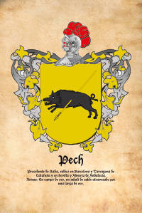 Escudo heráldico del apellido PECH