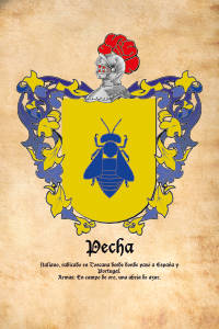 Escudo heráldico del apellido PECHA