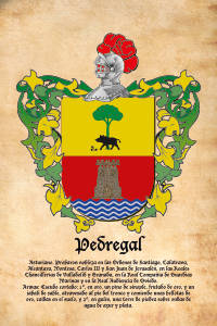 Escudo heráldico del apellido PEDREGAL