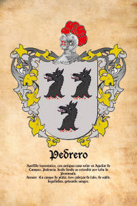 Escudo heráldico del apellido PEDRERO