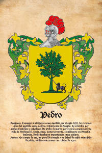 Escudo heráldico del apellido PEDRO