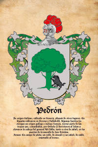 Escudo heráldico del apellido PEDRON