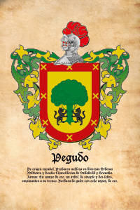 Escudo heráldico del apellido Pegudo