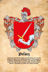 Escudo heráldico del apellido PELAEZ