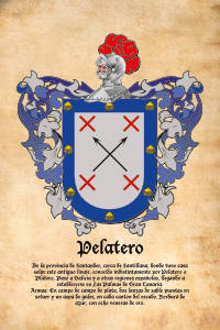 Escudo heráldico del apellido PELATERO