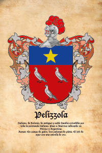 Escudo heráldico del apellido PELIZZOLA