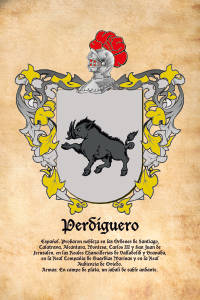 Escudo heráldico del apellido PERDIGUERO