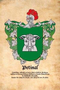 Escudo heráldico del apellido PETINAL