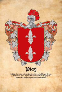 Escudo heráldico del apellido Piay