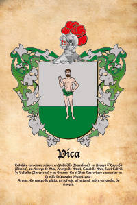 Escudo heráldico del apellido PICA