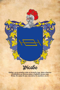Escudo heráldico del apellido PICADO