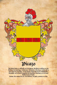 Escudo heráldico del apellido PICAZO