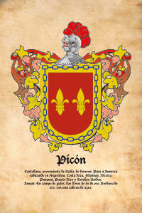 Escudo heráldico del apellido PICON