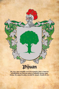 Escudo heráldico del apellido PIJUAN