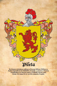 Escudo heráldico del apellido PILETA