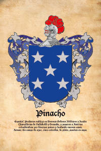 Escudo heráldico del apellido PINACHO