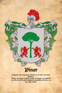 Escudo heráldico del apellido PINAR