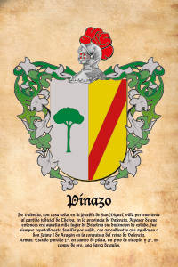 Escudo heráldico del apellido PINAZO
