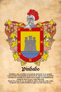 Escudo heráldico del apellido PINDADO