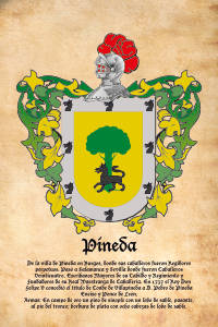 Escudo heráldico del apellido PINEDA