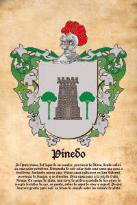 Escudo heráldico del apellido PINEDO