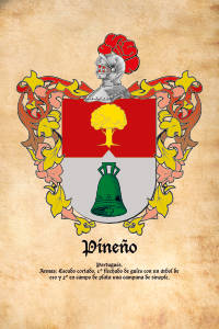 Escudo heráldico del apellido PINEÑO