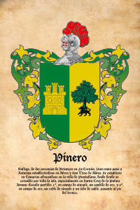 Escudo heráldico del apellido PINERO