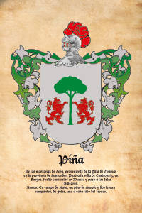 Escudo heráldico del apellido PIÑA