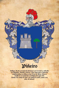 Escudo heráldico del apellido PIÑEIRO