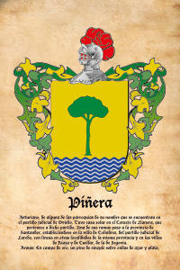 Escudo heráldico del apellido PIÑERA