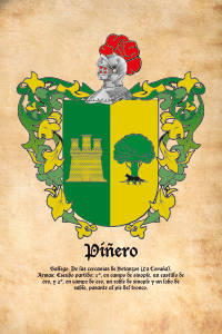 Escudo heráldico del apellido PIÑERO
