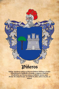 Escudo heráldico del apellido PIÑEROS